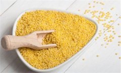 粟米是什么米？粟米的功效與作用及食用方法