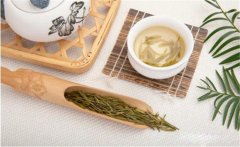 飲茶能治頭痛嗎？關(guān)于飲茶治頭痛的記載