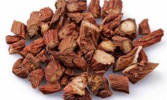 丹參的性能、主治、臨床應(yīng)用及用藥注意事項(xiàng)