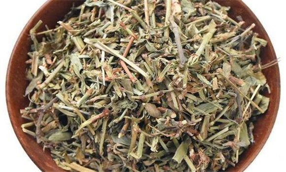 萹蓄的用法、用量與禁忌