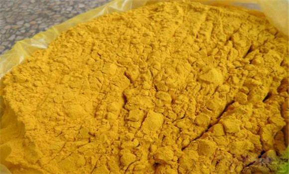 蒲黃的用法、用量與禁忌