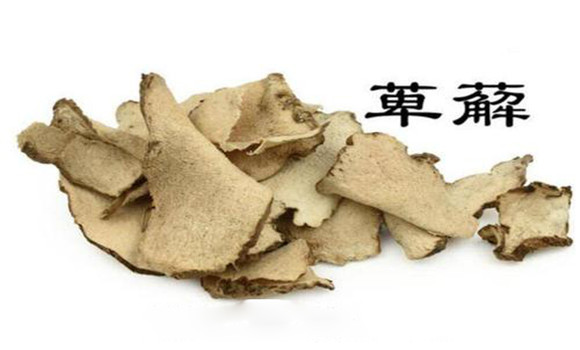 萆薢的用法，用量與禁忌