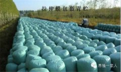 青貯飼料的調(diào)制方法、技術(shù)要點與注意事項