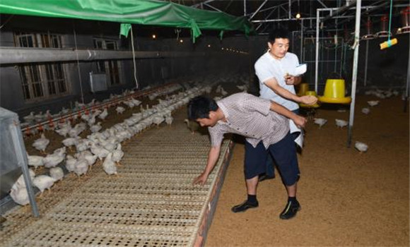 無污染、零排放