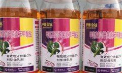 bt殺蟲劑的最佳使用方法，需掌握以下四點