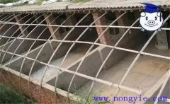 建豬舍應(yīng)注意哪些問題，如何做好豬舍消毒工作