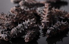 如何選購干海參？干海參的發(fā)泡方法