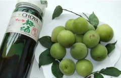 怎樣自制梅子酒？介紹梅子酒的做法