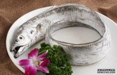 帶魚(yú)的產(chǎn)地、分布生活習(xí)性與品種分類