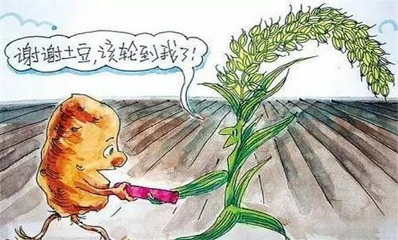 改善栽培制度，合理輪作