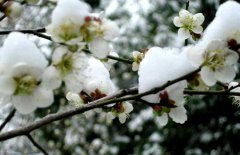 小寒節(jié)氣是什么意思？小寒節(jié)氣的氣候特征