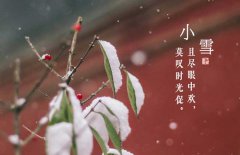小雪節(jié)氣是什么意思，小雪節(jié)氣吃什么食品？