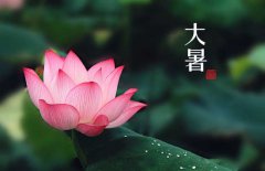 大暑是幾月幾日，大暑的節(jié)日民俗的哪些？