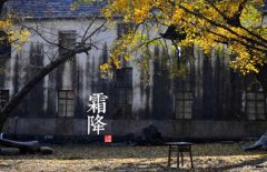 寒露是什么意思，寒露的氣候特征有哪些？