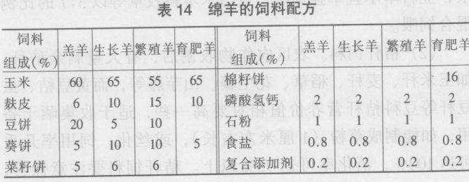 綿羊的飼養(yǎng)技術
