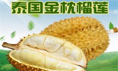 榴蓮品種介紹 常見的榴蓮品種有哪些？