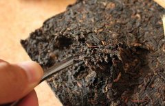 喝普洱茶能減肥嗎？