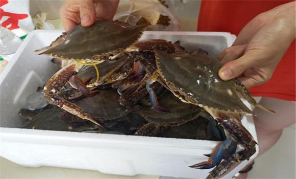螃蟹屬于海鮮嗎？