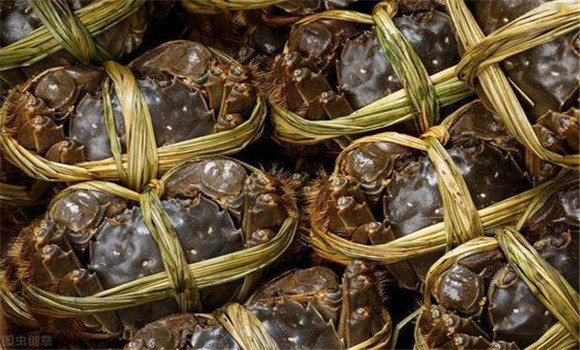 螃蟹買回來(lái)怎么保存？