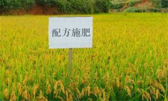 測土配方施肥的意義、作用