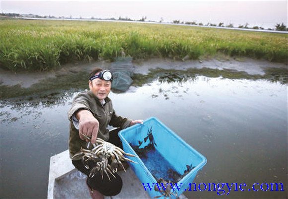 水源充足、水質(zhì)清新無污染