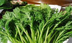 茼蒿種植技術(shù)要點(diǎn)，如何種植茼蒿