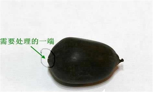 碗蓮的種植方法帶圖，碗蓮的種植方法與技術(shù)詳
