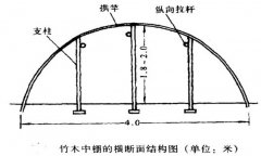 塑料中棚加外覆蓋能明顯使蔬菜早熟，效益高
