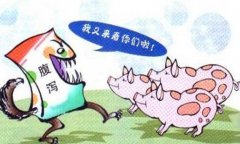 豬流行性腹瀉怎么治療、預(yù)防與防治要點(diǎn)有哪些