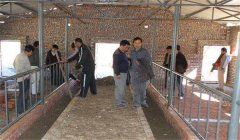 奶牛場設(shè)施設(shè)備有哪些，是如何分類的？