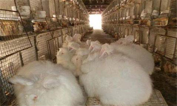 飼料要搭配、交換
