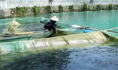 魚(yú)赤皮病的治療方法、是什么引起、有什么癥狀