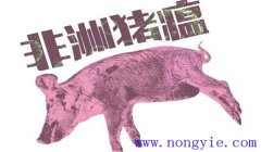 非洲豬瘟什么癥狀 非洲豬瘟的防控措施、要點