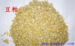 怎樣用豆粕喂牛，豆粕和豆餅喂牛效果一樣嗎？