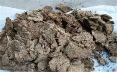 雞糞如何發(fā)酵成有機(jī)肥，用什么發(fā)酵菌好？