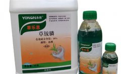 草銨膦對人有毒性嗎？草銨膦和草甘膦的區(qū)別