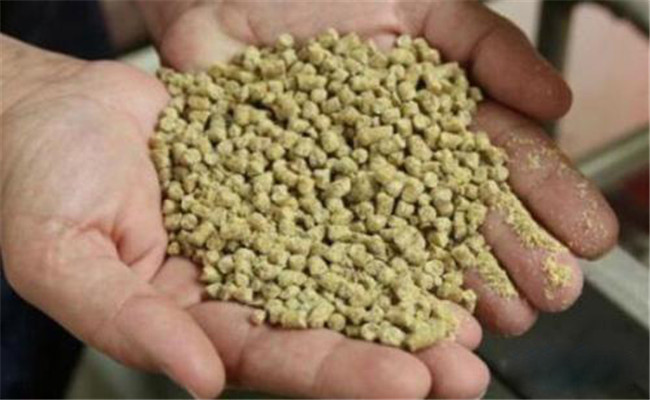 養(yǎng)殖戶自配飼料需要掌握的10大技術要點
