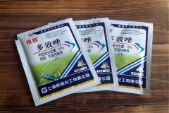 如何正確使用多效唑，用多了發(fā)生藥害怎么辦？