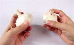 怎樣種植大蒜？大蒜栽培技術(shù)十大要點(diǎn)