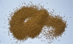 泥鰍的飼料以什么為主？養(yǎng)殖泥鰍的飼料建議配