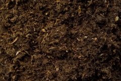 什么是基質(zhì)土 基質(zhì)土的配制方法是什么？