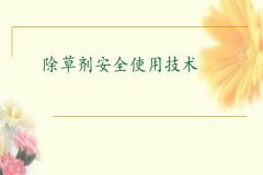 除草劑安全使用要點(diǎn) 發(fā)生除草劑藥害如何補(bǔ)救？