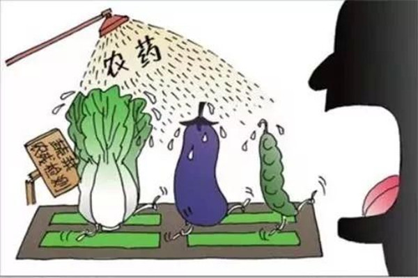 怎樣合理使用農(nóng)藥，防止農(nóng)藥對(duì)蔬菜的污染