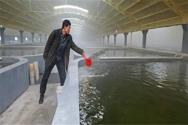 pH值。表示水的酸堿度