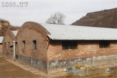 麝鼠圈舍建筑方法與要求有哪些？