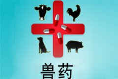 獸藥屬于藥品嗎？獸藥與人用藥的區(qū)別是什么？