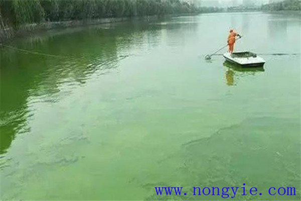 調(diào)，即調(diào)節(jié)水質(zhì)