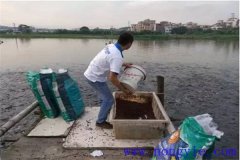 怎樣提高魚飼料的利用率？