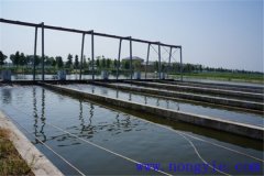 現(xiàn)代池塘養(yǎng)魚(yú)的生產(chǎn)與經(jīng)營(yíng)特點(diǎn)是什么？