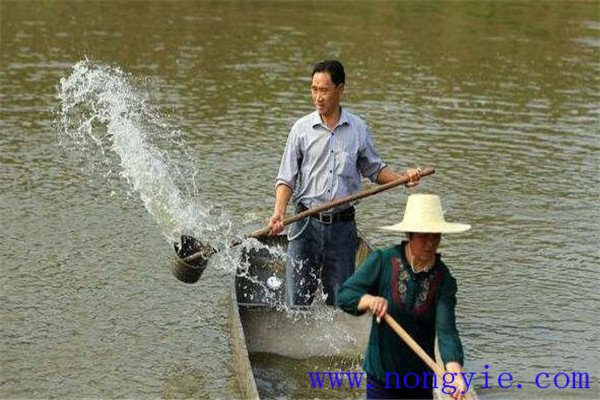 加強(qiáng)病害防治、講究安全用藥